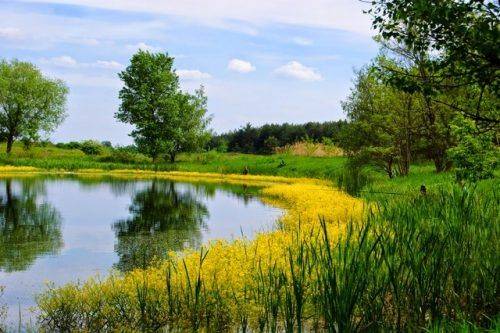 На Черкащині створили три нових заповідних об'єкти