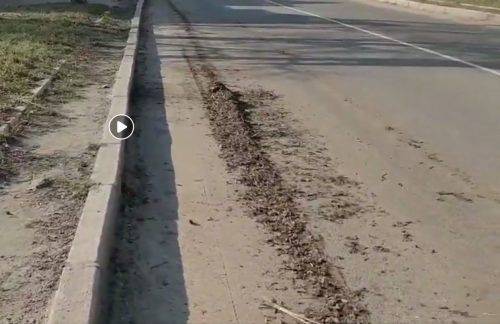 Черкаський журналіст у соцмережі обурився станом чищення доріг (відео)