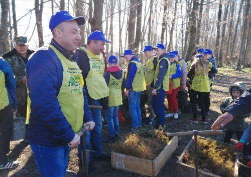 На Черкащині висадили дуби та модрини в пам'ять про загиблих героїв (фото)