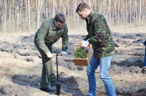 На Черкащині висадили ліс на честь учасників АТО (фото)