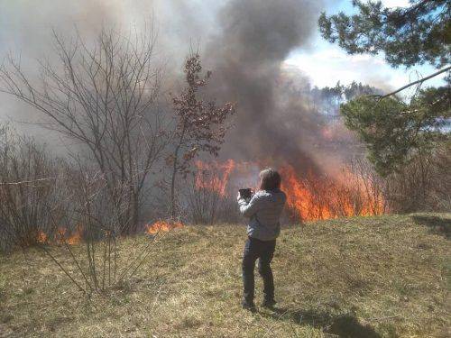 Імовірно підпал: у Липівському орнітологічному заказнику пожежа (фото, відео)