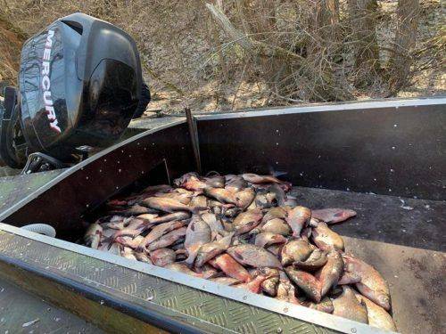 Правоохоронці у Сулинському заказнику незаконно ловили рибу (фото, відео)