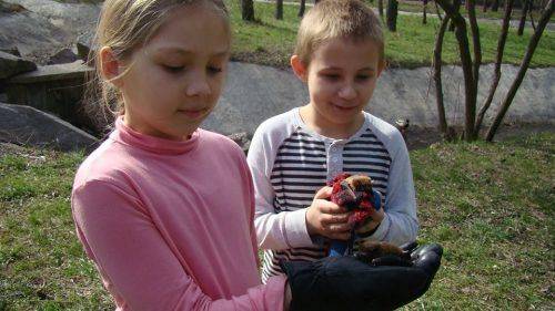 Волонтери та працівники черкаського зоопарку випустили врятованих кажанів (фото)