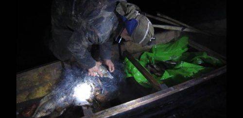 На Черкащині затримали браконьєра, який ловив рибу на дерев'яному човні (фото, відео)
