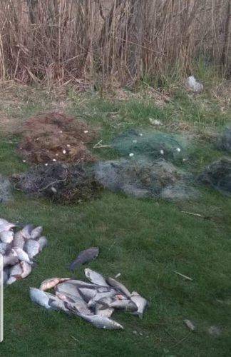 На Черкащині браконьєри наловили риби на понад 9 тисяч гривень (фото)
