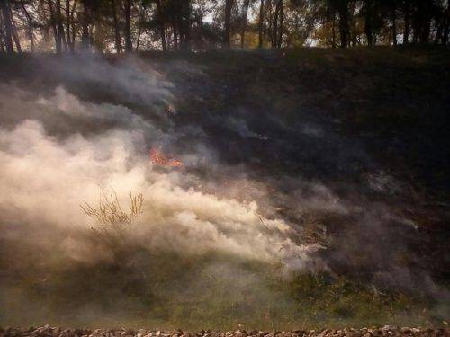 Військовий полігон у Черкасах вже декілька днів поспіль горить (фото)