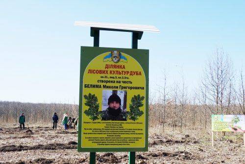 На честь загиблого учасника АТО на Черкащині висадили пам’ятний дубовий ліс