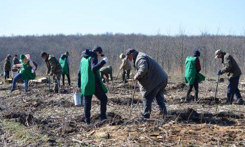На честь загиблого учасника АТО на Черкащині висадили пам’ятний дубовий ліс 