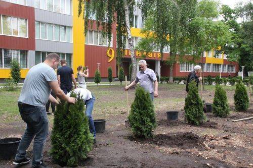 У черкаській гімназії відновити алею туй, де були викрадені дерева 