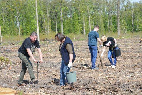 На Черкащині висадили майже 130 гектарів лісових культур (фото)