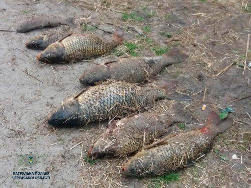 На Черкащині порушники незаконно ловили рибу (фото)