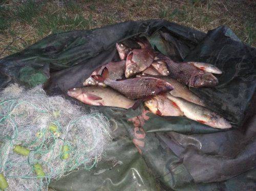 На Черкащині браконьєри незаконно ловили рибу (фото)