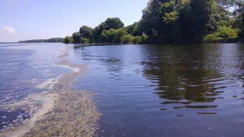 У річці на Черкащині виявили перевищення забруднювальних речовин (фото, відео)