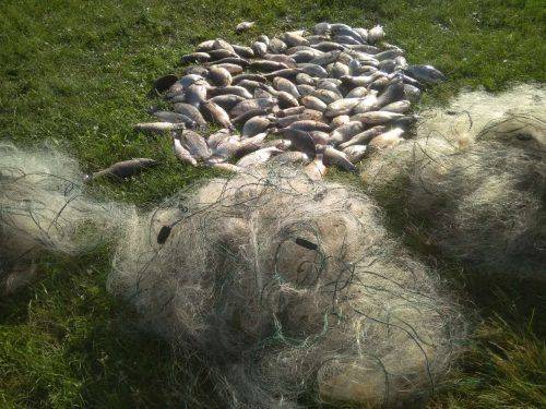 Хотів утекти й не відповідати: на Черкащині браконьєр незаконно ловив рибу (фото)