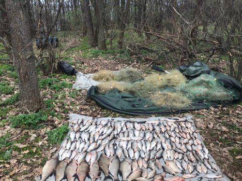З початку нересту рибоохоронці Черкащини викрили майже 400 порушень