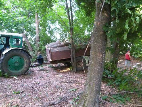 На Черкащині крадії лісу спиляли дерева (фото)