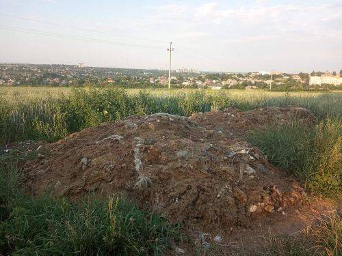На Черкащині містяни виявили у себе на городі тонни тваринних решток (фото)