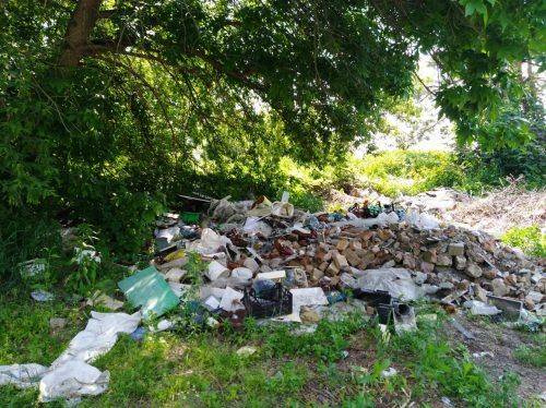 На Черкащині утворилося стихійне сміттєзвалище: голова сільради відповідатиме (фото)
