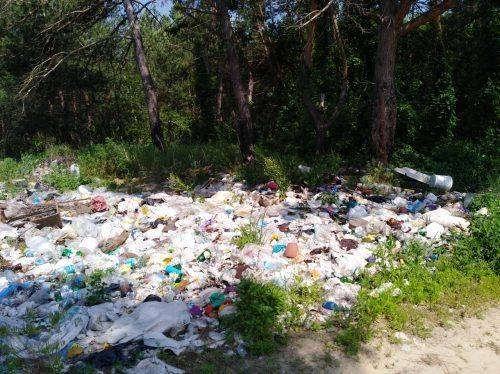 На Черкащині утворилося стихійне сміттєзвалище: голова сільради відповідатиме (фото)