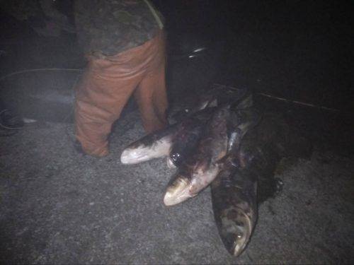 На Черкащині затримали браконьєра (фото, відео)