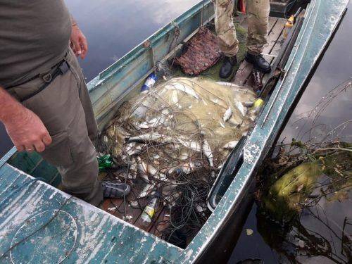 На Черкащині браконьєри наловили риби на майже 65 тисяч гривень (фото)