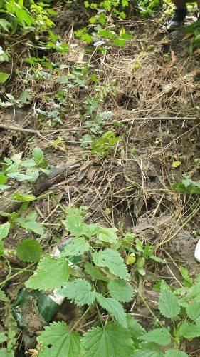 На Черкащині перевірили ґрунт на наявність забруднювальних речовин (фото)