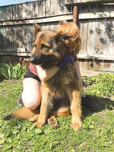 "Я обіймала її, і ми плакали разом", - на Черкащині знайшли собаку, якого шукали понад місяць 
