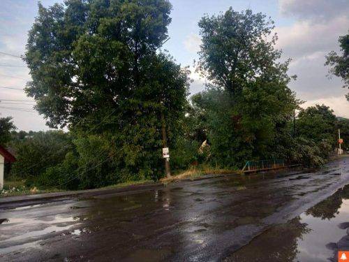 На Черкащині через негоду падали дерева та ламалися електричні стовпи (фото)