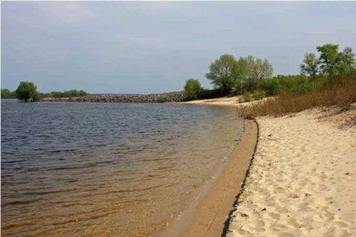 Екологи повідомили, що в Дніпрі поблизу Канева купатися не можна