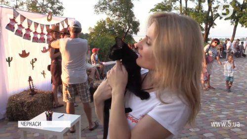 У Черкасах влаштували акцію зі збору коштів для безпритульних котів (відео)