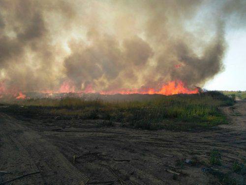 Імовірно підпал: у Черкасах сталася масштабна пожежа (фото, відео)