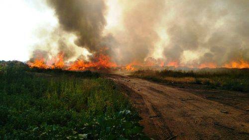 Імовірно підпал: у Черкасах сталася масштабна пожежа (фото, відео)