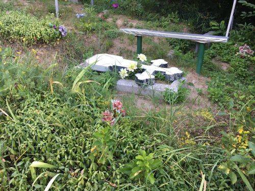 На Черкащині вандали пошкодили пам'ятники на кладовищі (фото, відео)