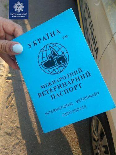 Черкащанин купив собаку з підробленими документами