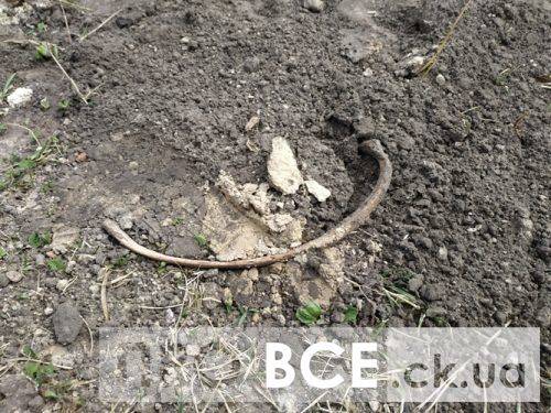 «Черепа і кістки у смітті»: на Черкащині розкопали 300-річне поховання, а останки померлих викинули до сміття (фото, відео)
