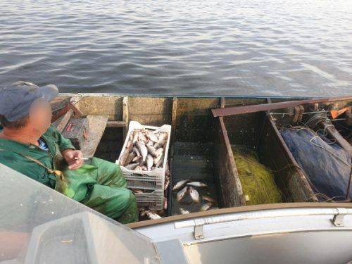 У Черкасах браконьєр наловив риби майже на 190 тис. грн