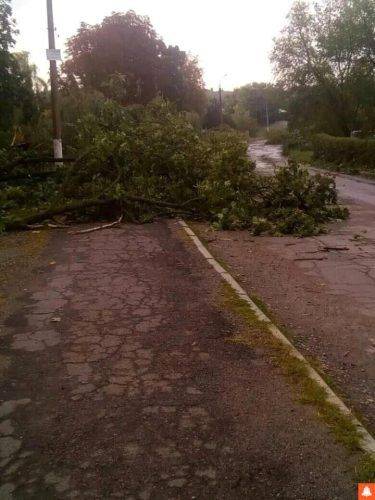 Повалені дерева та зірвані дахи: наслідки негоди на Черкащині (фото)