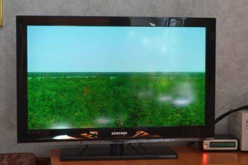 За хвойними лісами Черкащини наглядають камери відеоспостереження (фото)