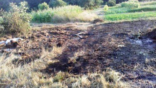 За добу в Черкасах та області чотири горіла суха трава (фото)