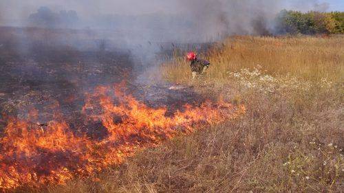 На Черкащині виникла пожежа сухої трави (фото)