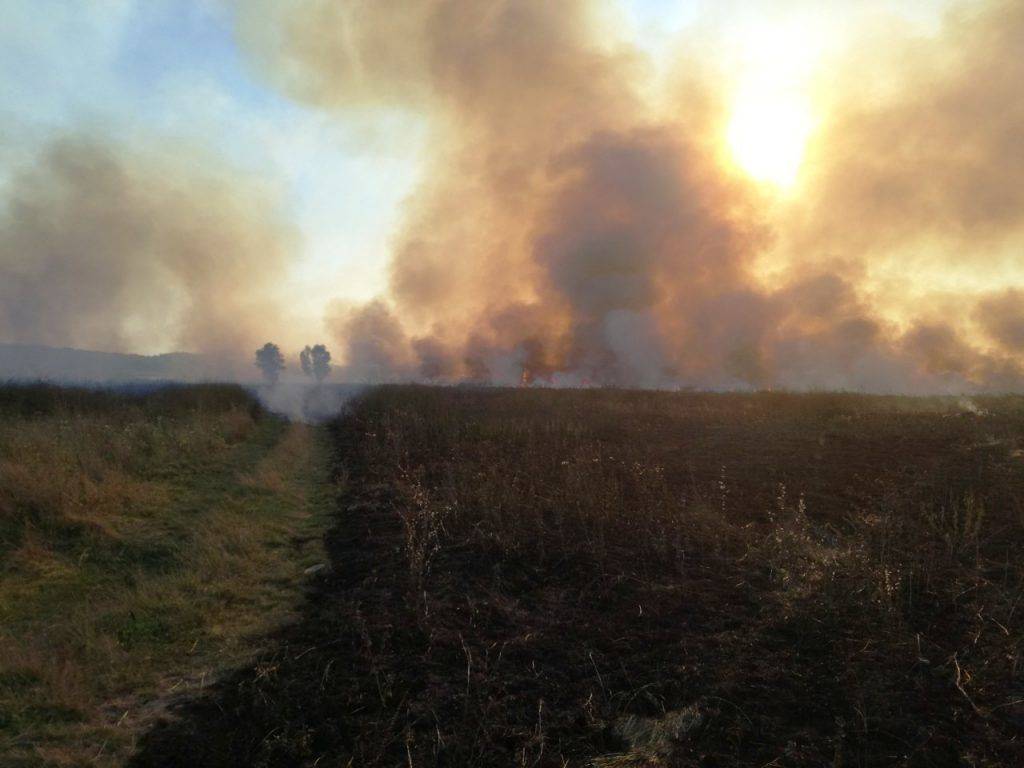 За добу рятувальники 10 разів гасили пожежі сухої рослинності на Черкащині (фото)