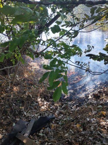 У Черкасах відбулася пожежа трави на площі майже 2 гектари (фото)