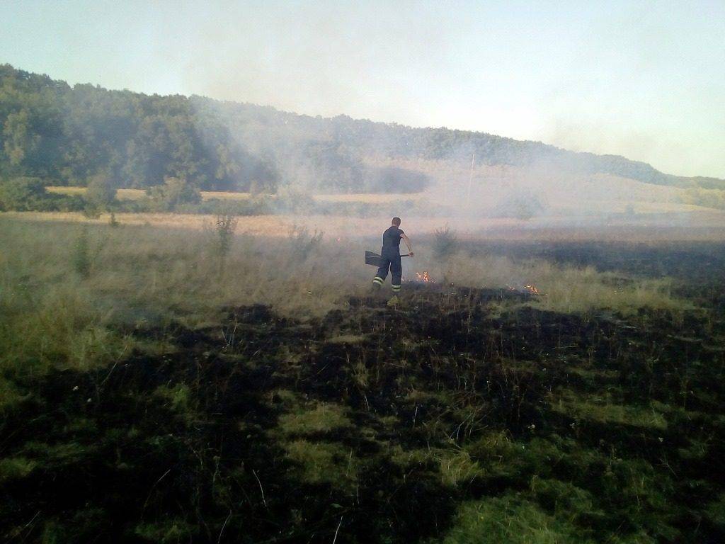 За добу рятувальники 10 разів гасили пожежі сухої рослинності на Черкащині (фото)