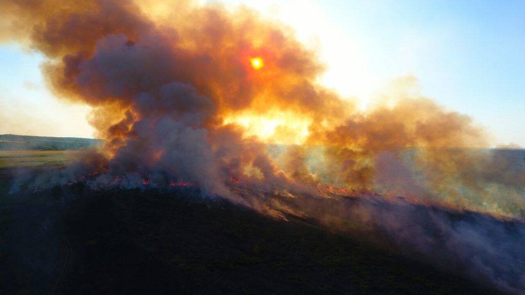 Два дні поспіль рятувальники гасили пожежу на Черкащині (фото)