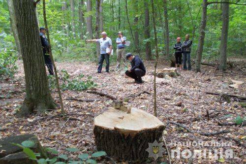 На Черкащині в причепі вантажівки знайшли незаконно зрубані дерева (фото)