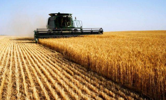 Жнива-2019: на Черкащині зібрали близько 4 млн т пізніх зернових