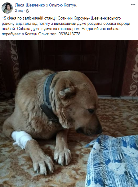 На Черкащині шукають господаря собаки, який відстав від потяга з військовими