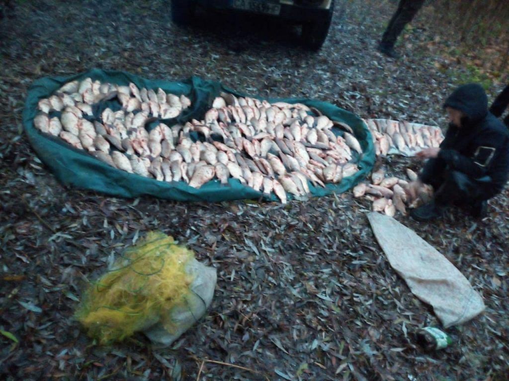 На Черкащині спіймали браконьєрів, які сітками виловлювали рибу в заказнику