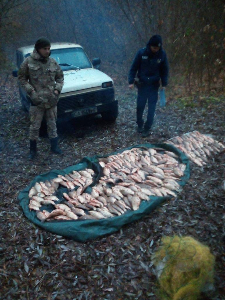 На Черкащині спіймали браконьєрів, які сітками виловлювали рибу в заказнику