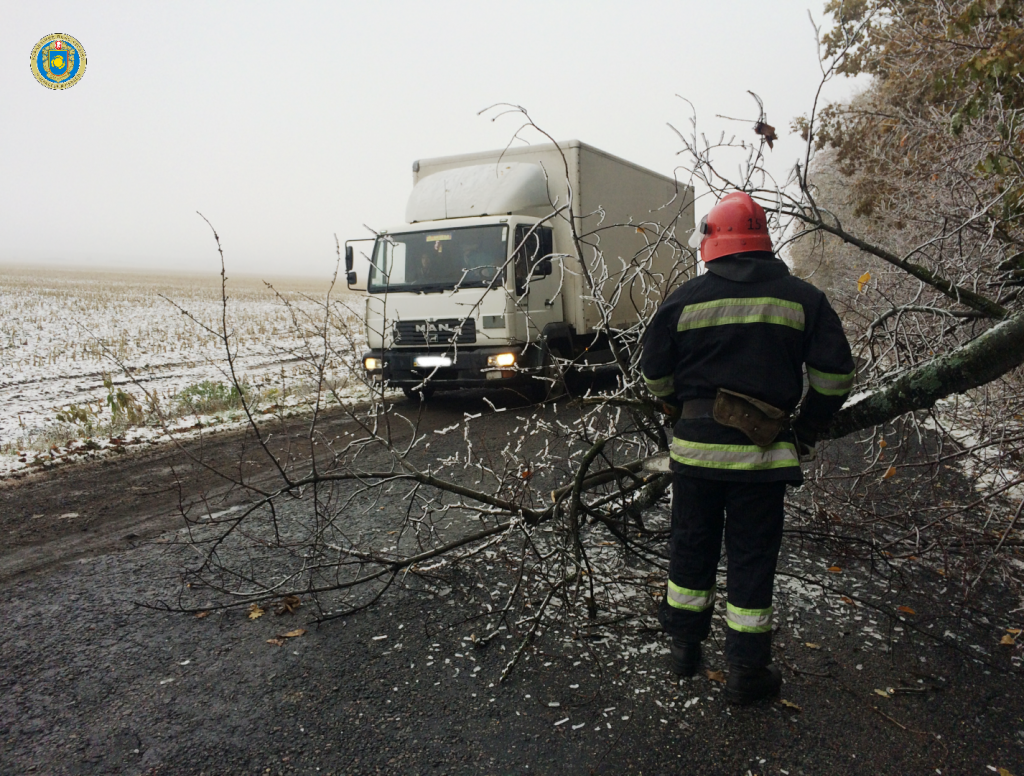 На Христинівщині дерево впало на дорогу та заблокувало рух транспорту (фото)